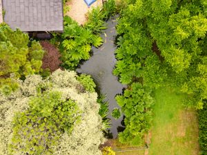 Photo 5- click for photo gallery